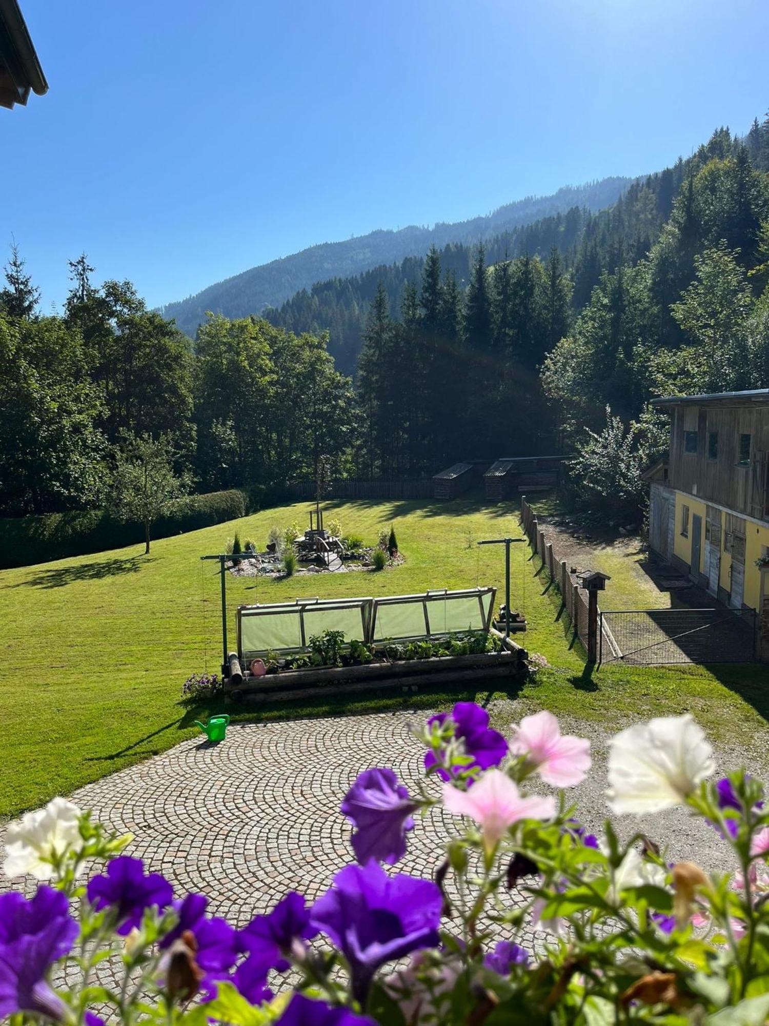 Mühlbach am HochkönigHaus Rosinaアパートメント エクステリア 写真