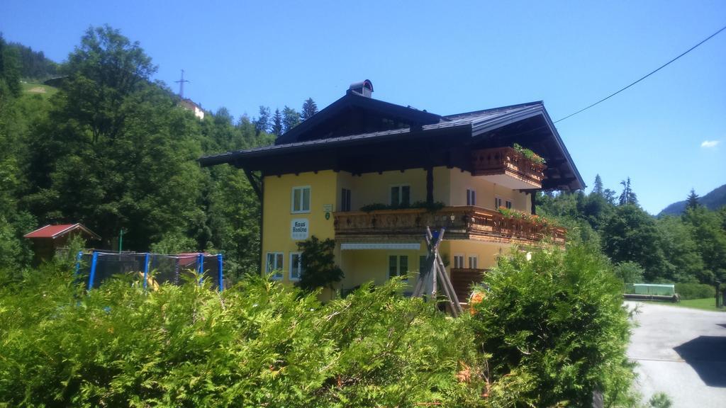 Mühlbach am HochkönigHaus Rosinaアパートメント 部屋 写真