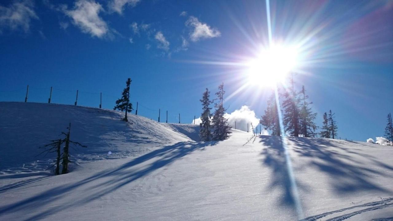 Mühlbach am HochkönigHaus Rosinaアパートメント エクステリア 写真